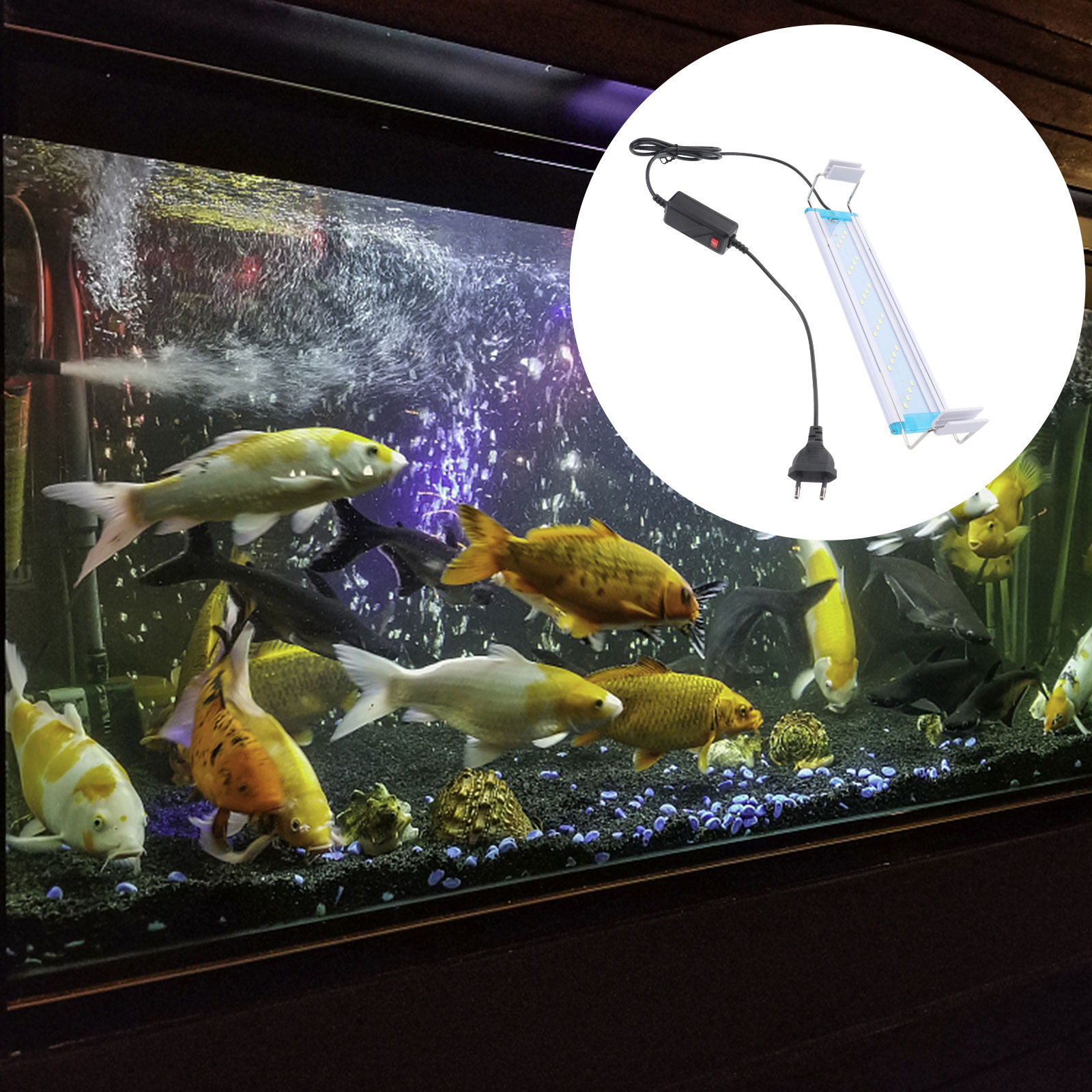 Aquarium Fish With Long Lifespan - Aquarium Lamp Fine Heat Dissipation Easy