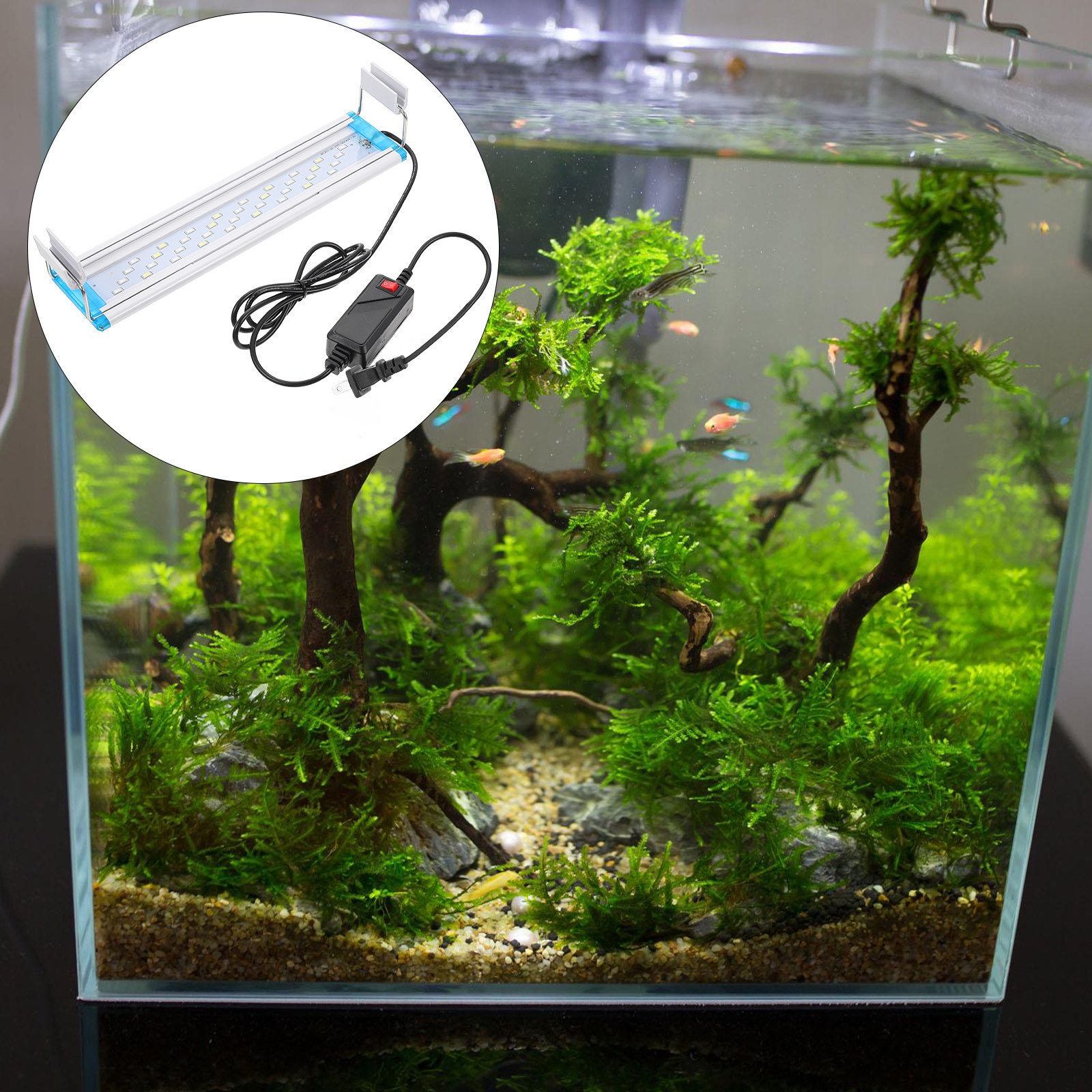 Aquarium Fish With Long Lifespan - Tricolor LED Aquarium Light High Brightness