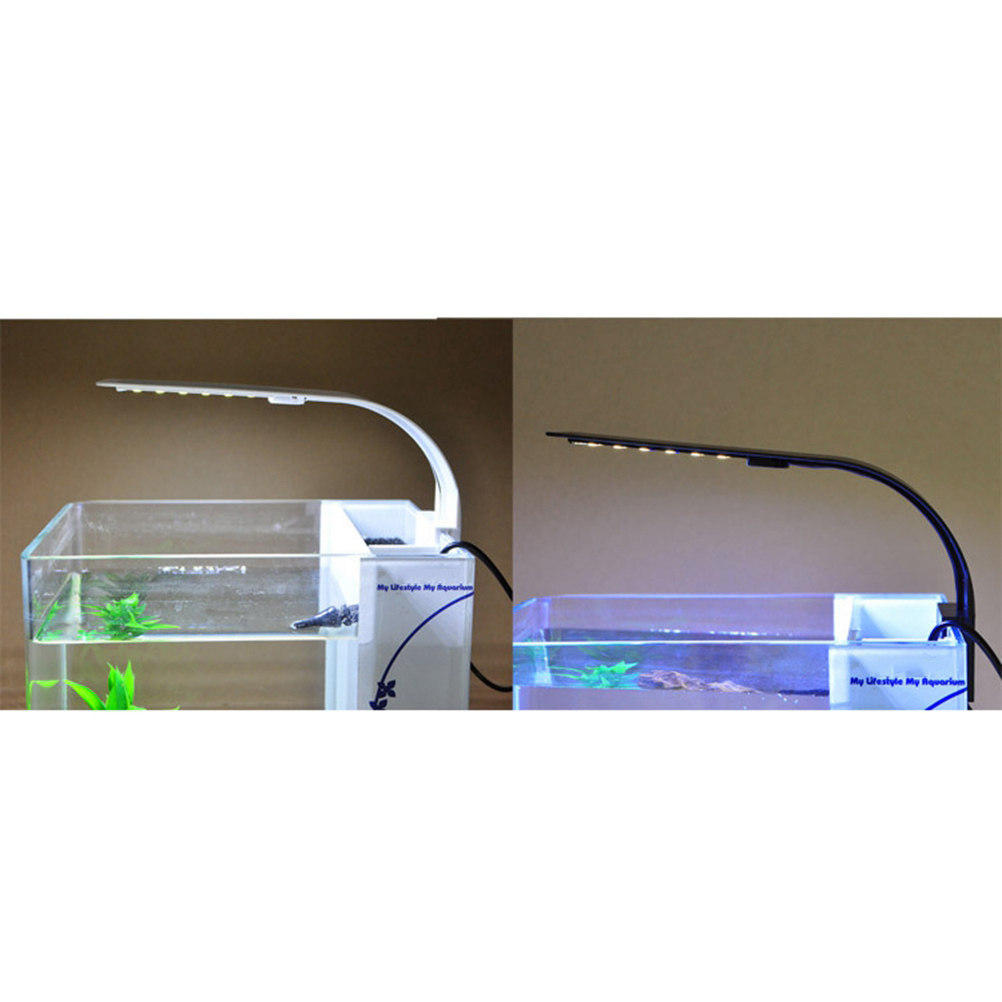 Aquarium Fish With Long Lifespan - LED Aquarium Light for Fish Tank