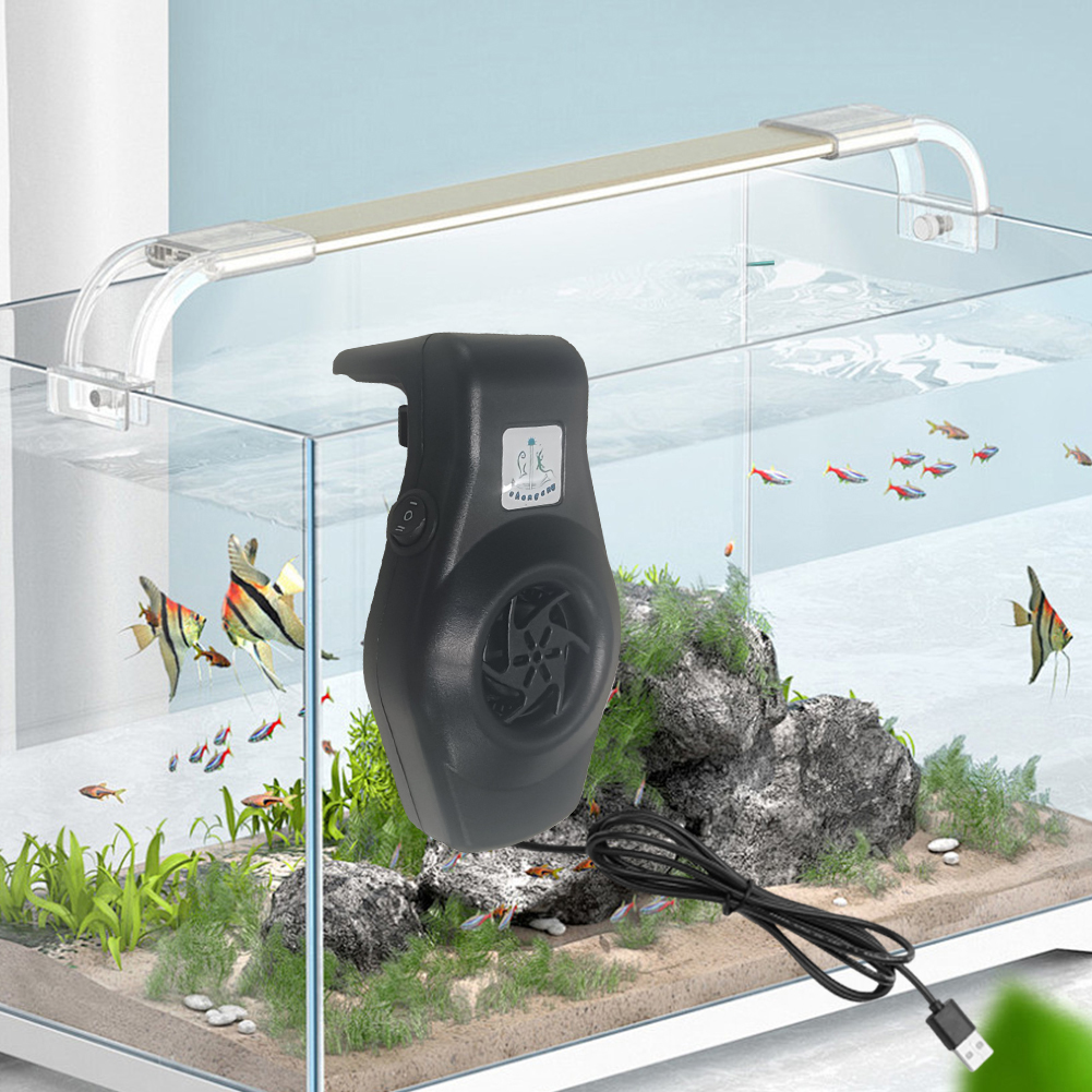 Small Fish Tank Fan with USB C – обзор и цена Aquarium Fish Freshwater