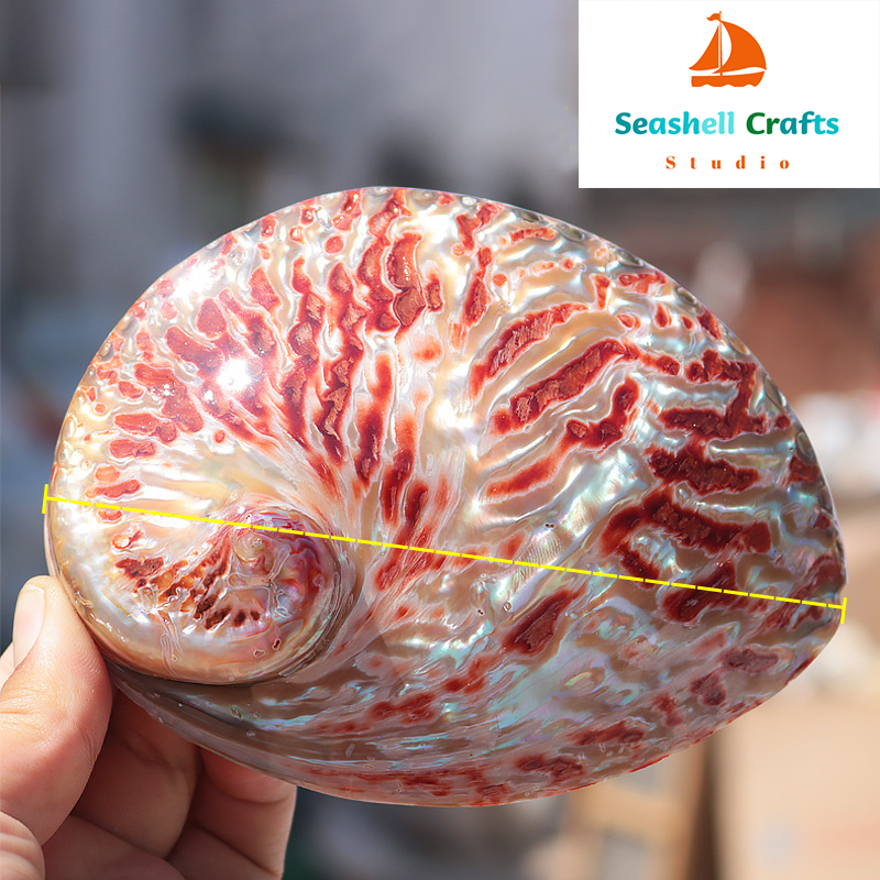 Home Decoration Red Pattern Ab – обзор и цена Aquarium Fish Guppy