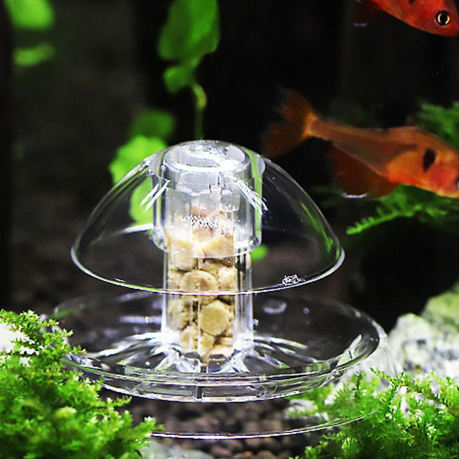 Ailindany Snail Trap Plastic T – обзор и цена Aquarium Fish Online
