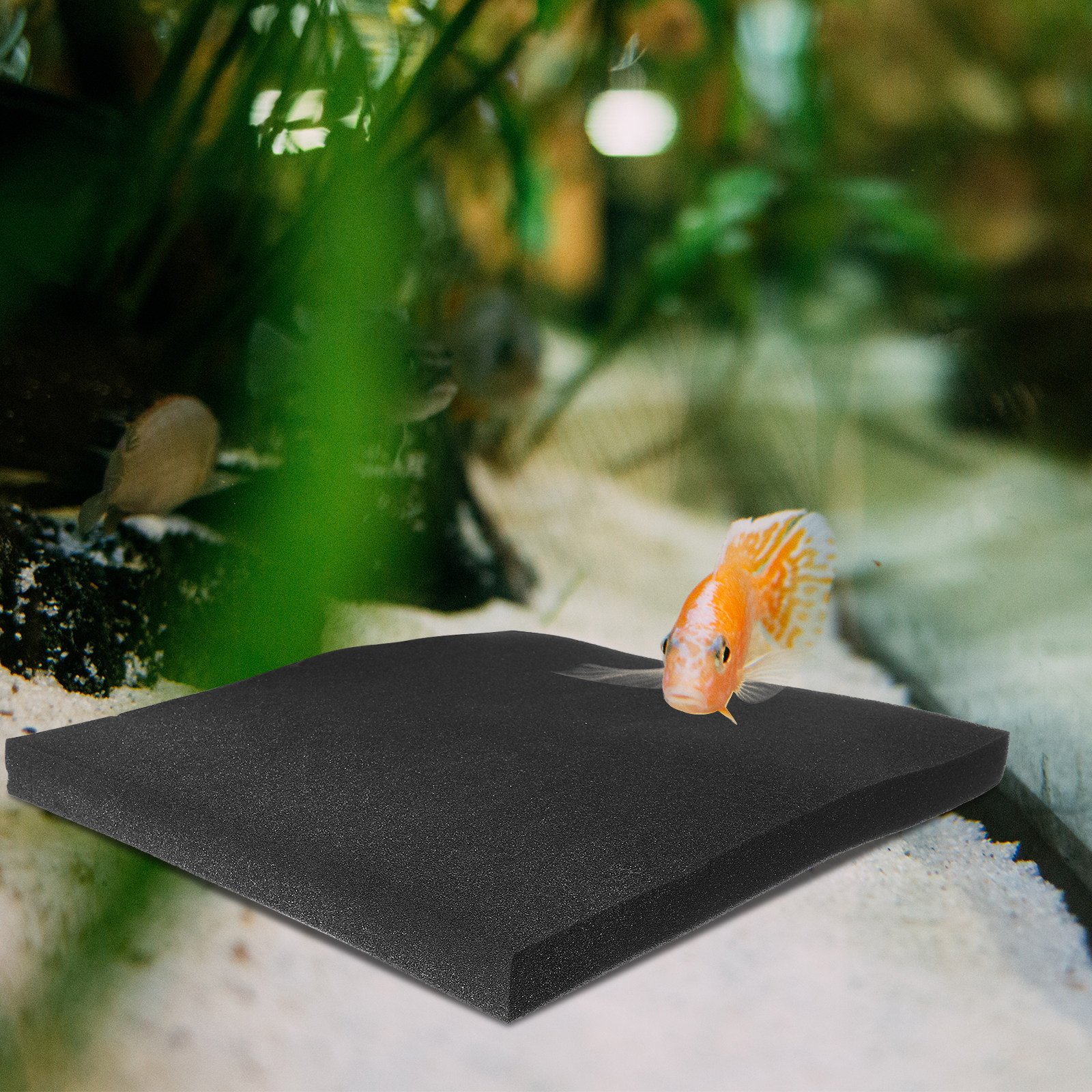 Aquarium Replacement Filter Sp – обзор и цена Aquarium Fish With Long Lifespan