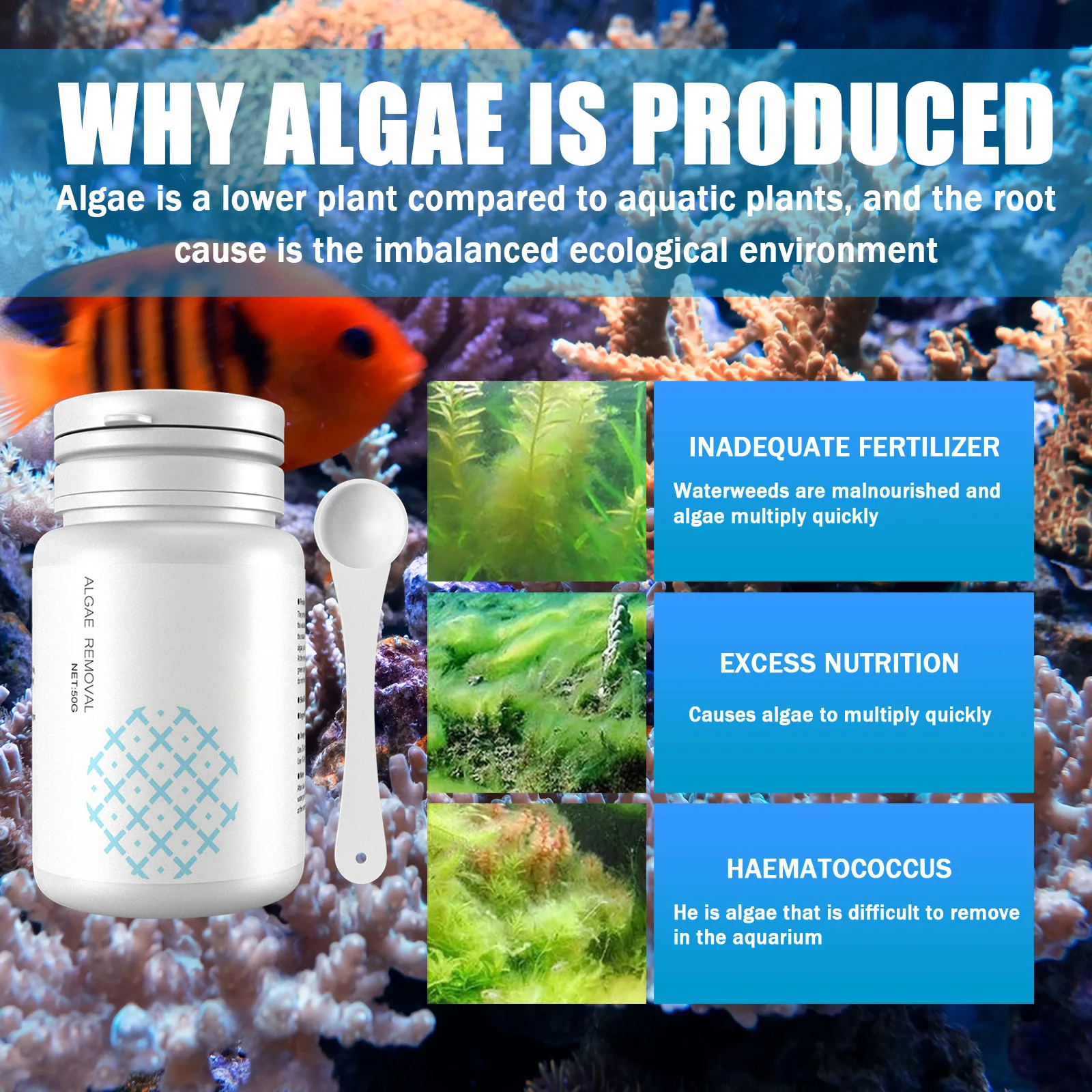 Algae Control Tablets for Aqua – обзор и цена Aquarium Fish Vitamin
