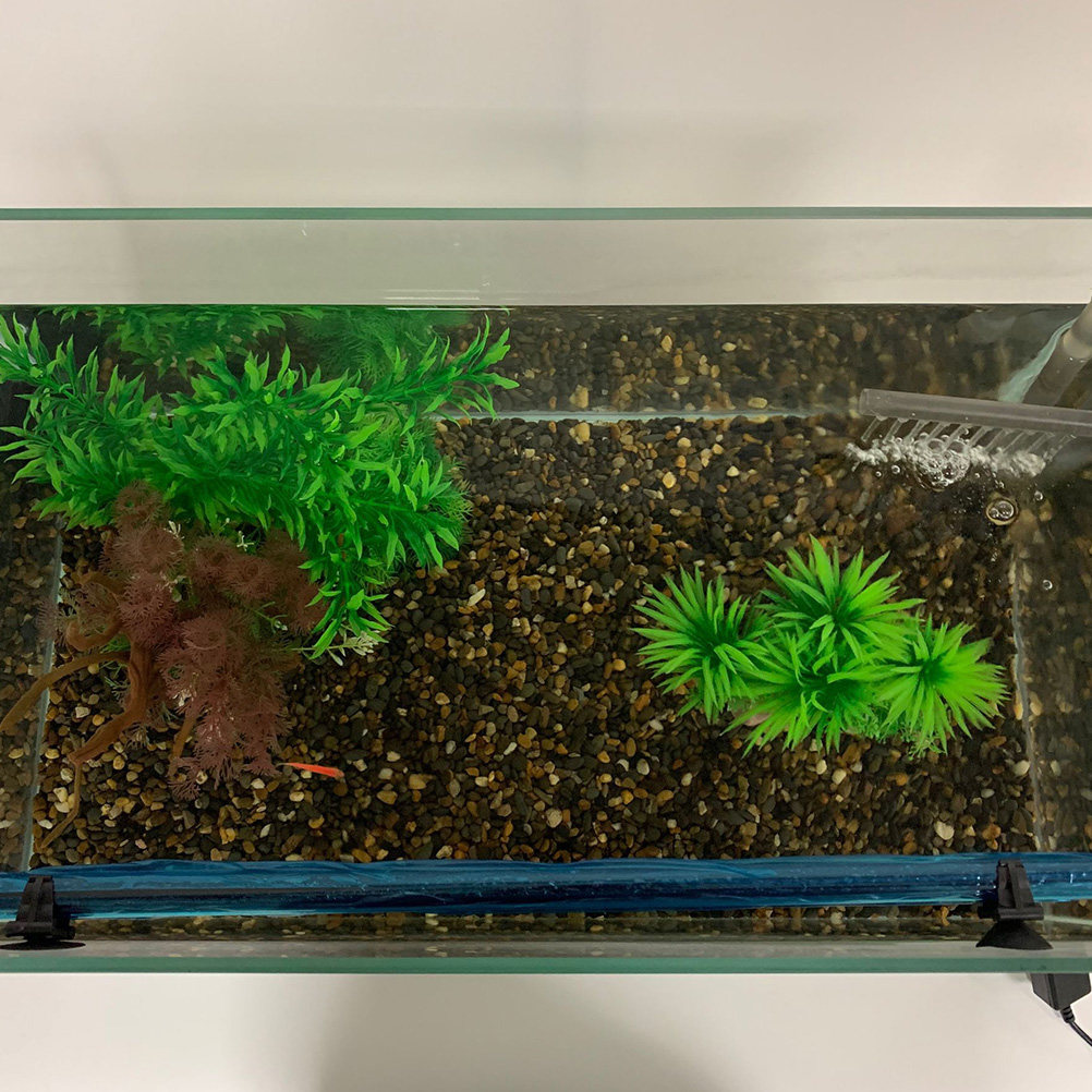1Pcs Fish Tank LED Lamp Premiu – обзор и цена Aquarium Fish With Long Lifespan