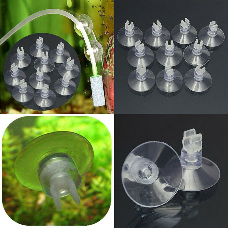 10pcs/Lot Plastic Aquarium Suc – обзор и цена Aquarium Fish Youtube