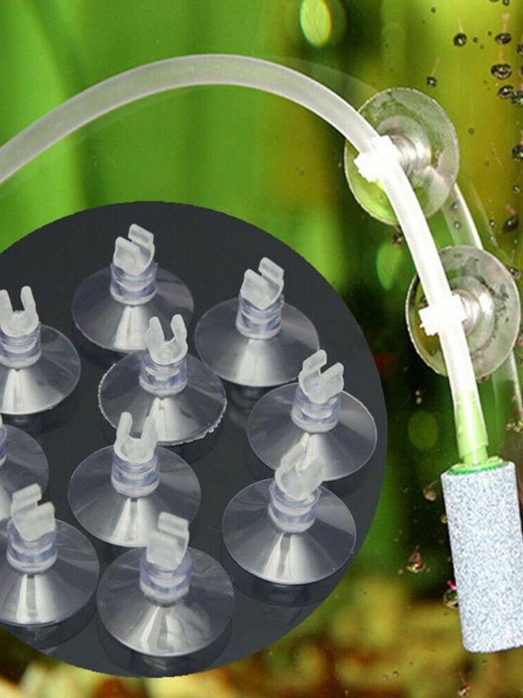 10pcs/Lot Plastic Aquarium Suc – обзор и цена Aquarium Fish Youtube