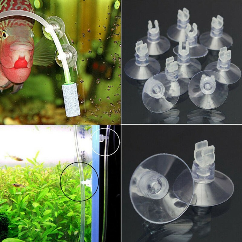10pcs/Lot Plastic Aquarium Suc – обзор и цена Aquarium Fish Youtube