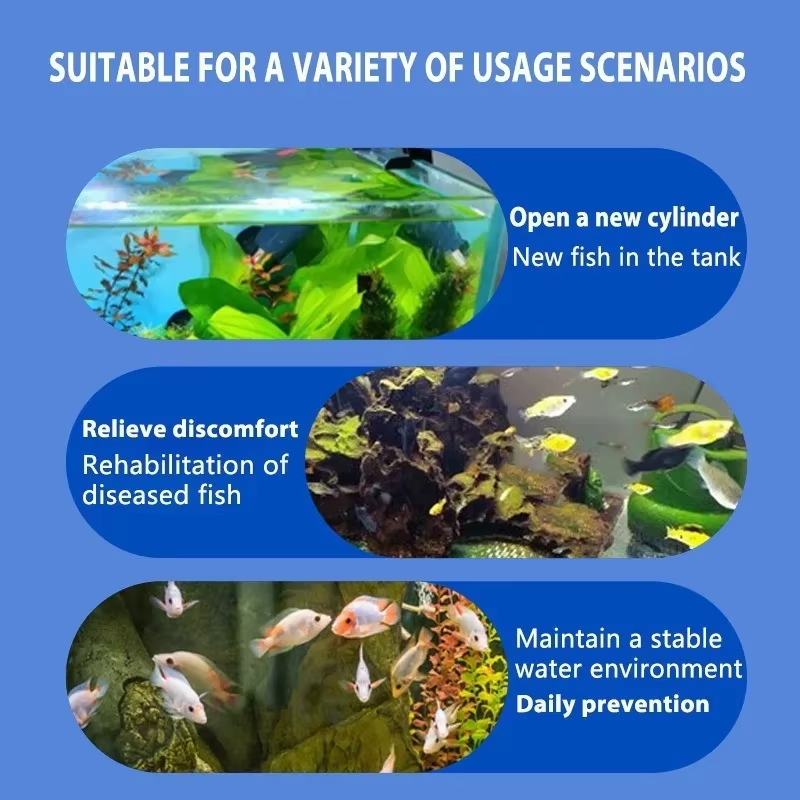 SIKEZHAN Fish Disease Treatmen – обзор и цена Aquarium Fish Freshwater