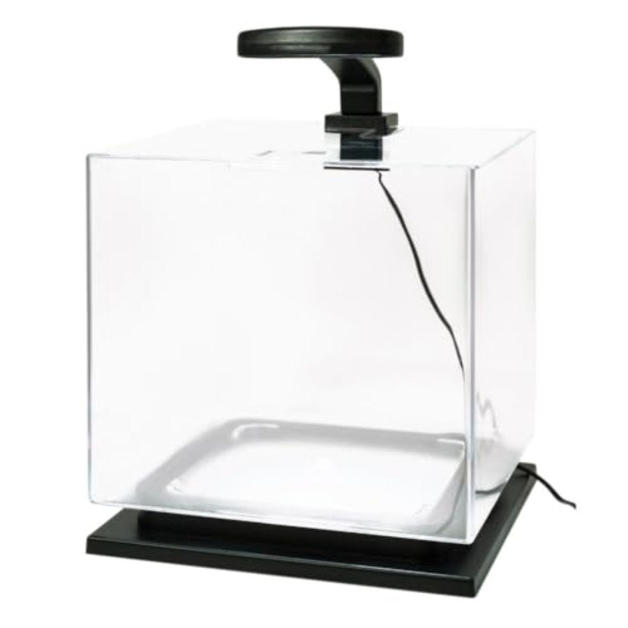 3 Gallon Fish Tank Aquarium St – обзор и цена Aquarium Fish Guppy