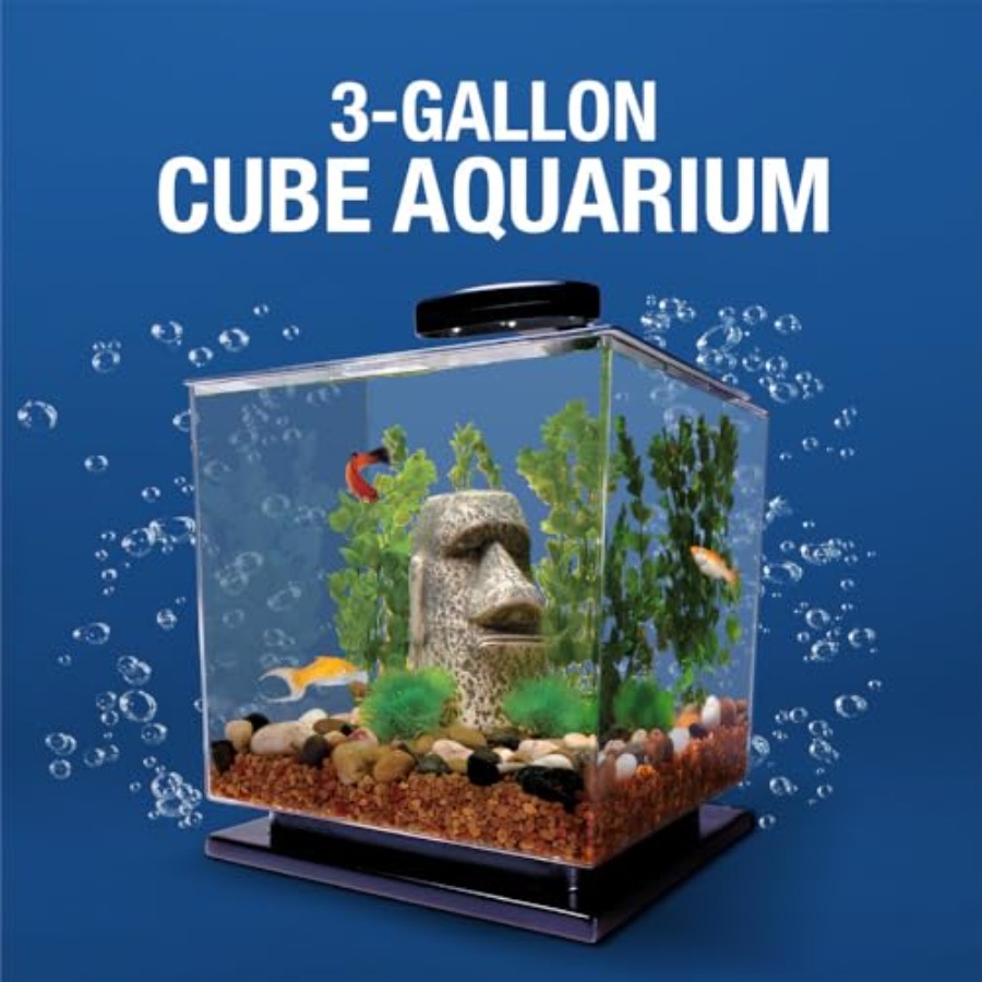 3 Gallon Fish Tank Aquarium St – обзор и цена Aquarium Fish Guppy