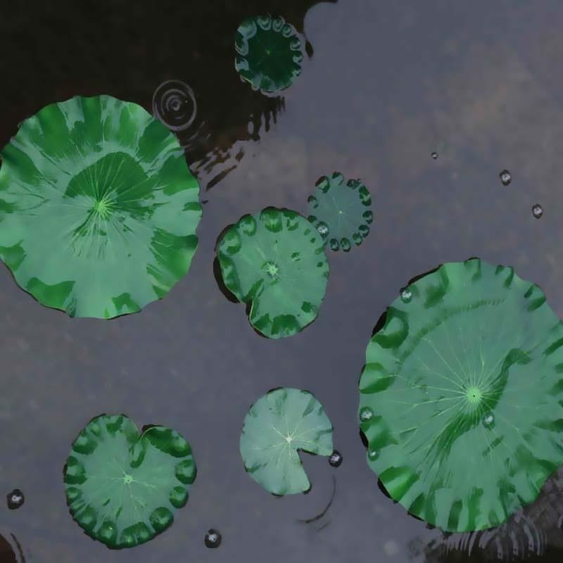 2026 Artificial Water Lily Lot – обзор и цена Aquarium Fish Guppy