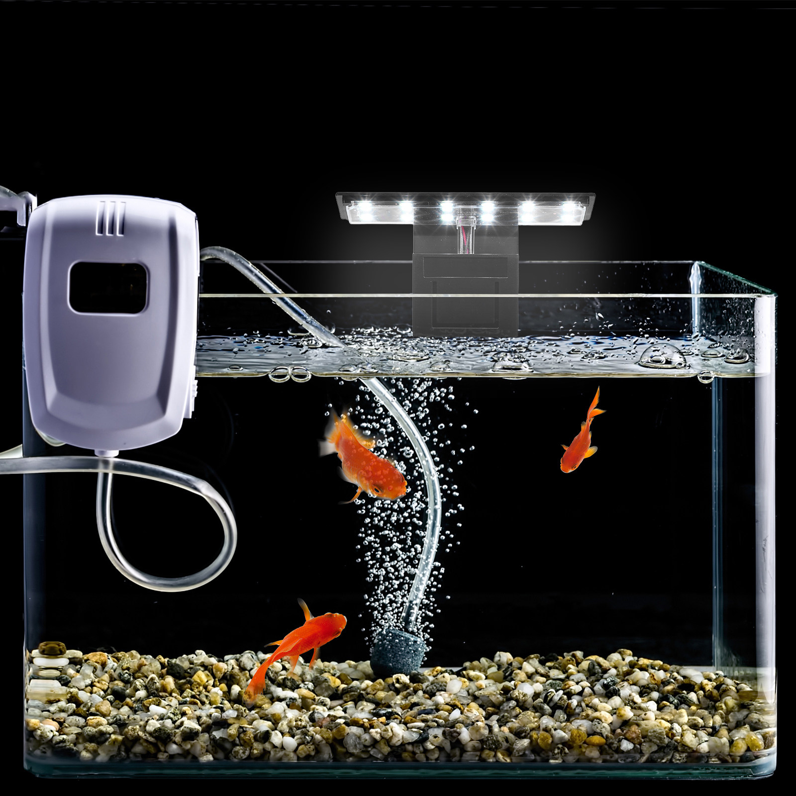 LED Aquarium Light for Plants  – обзор и цена Aquarium Fish With Long Lifespan