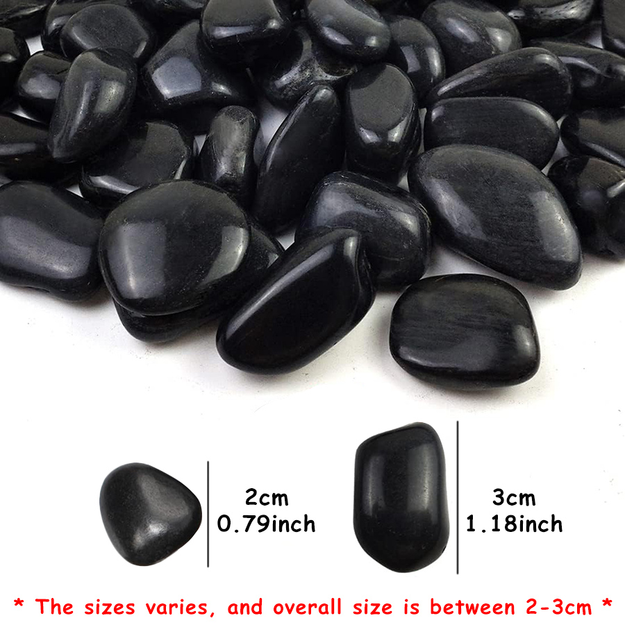 200g Black High Polished Natur – обзор и цена Aquarium Fish Guppy
