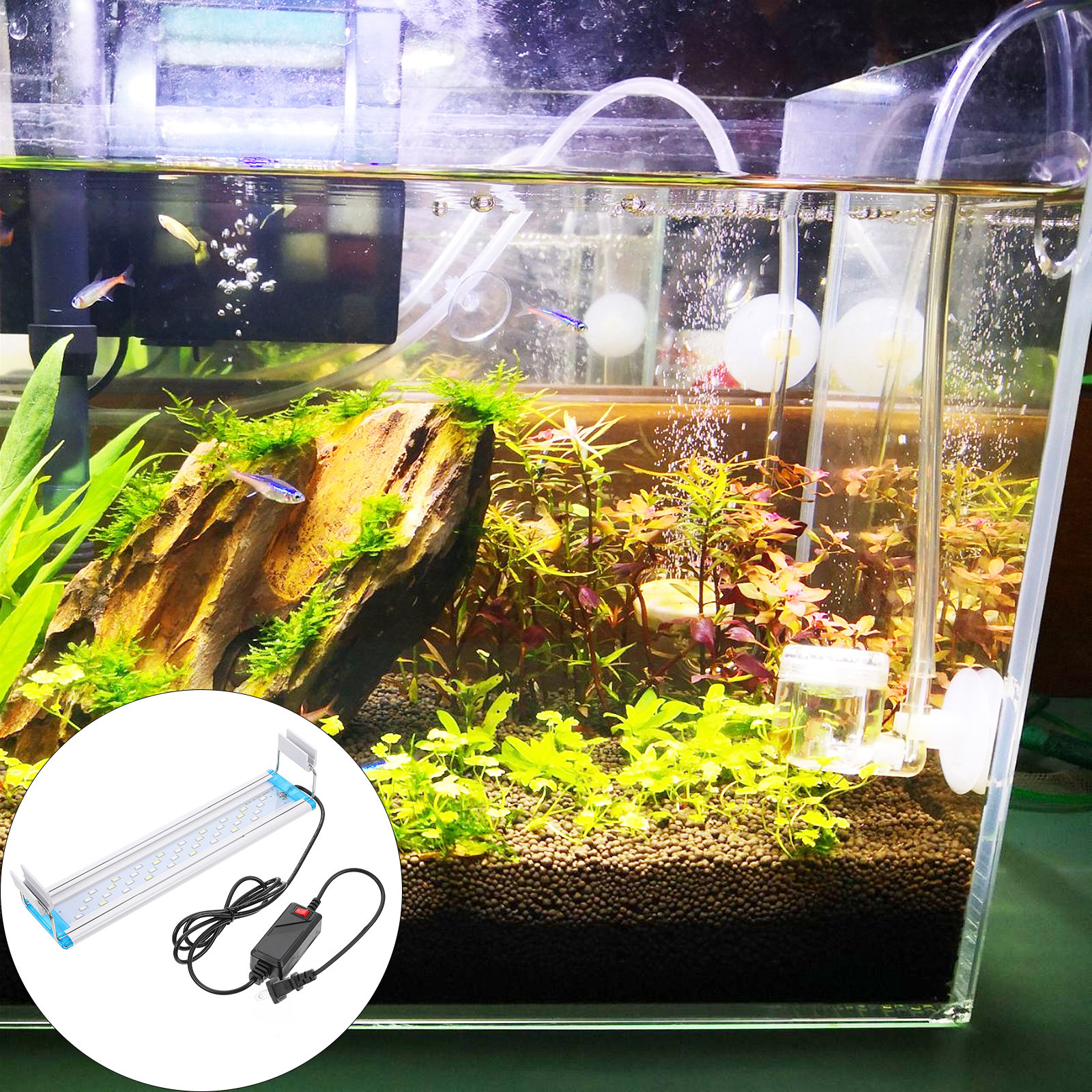 Tricolor LED Aquarium Light Hi – обзор и цена Aquarium Fish With Long Lifespan