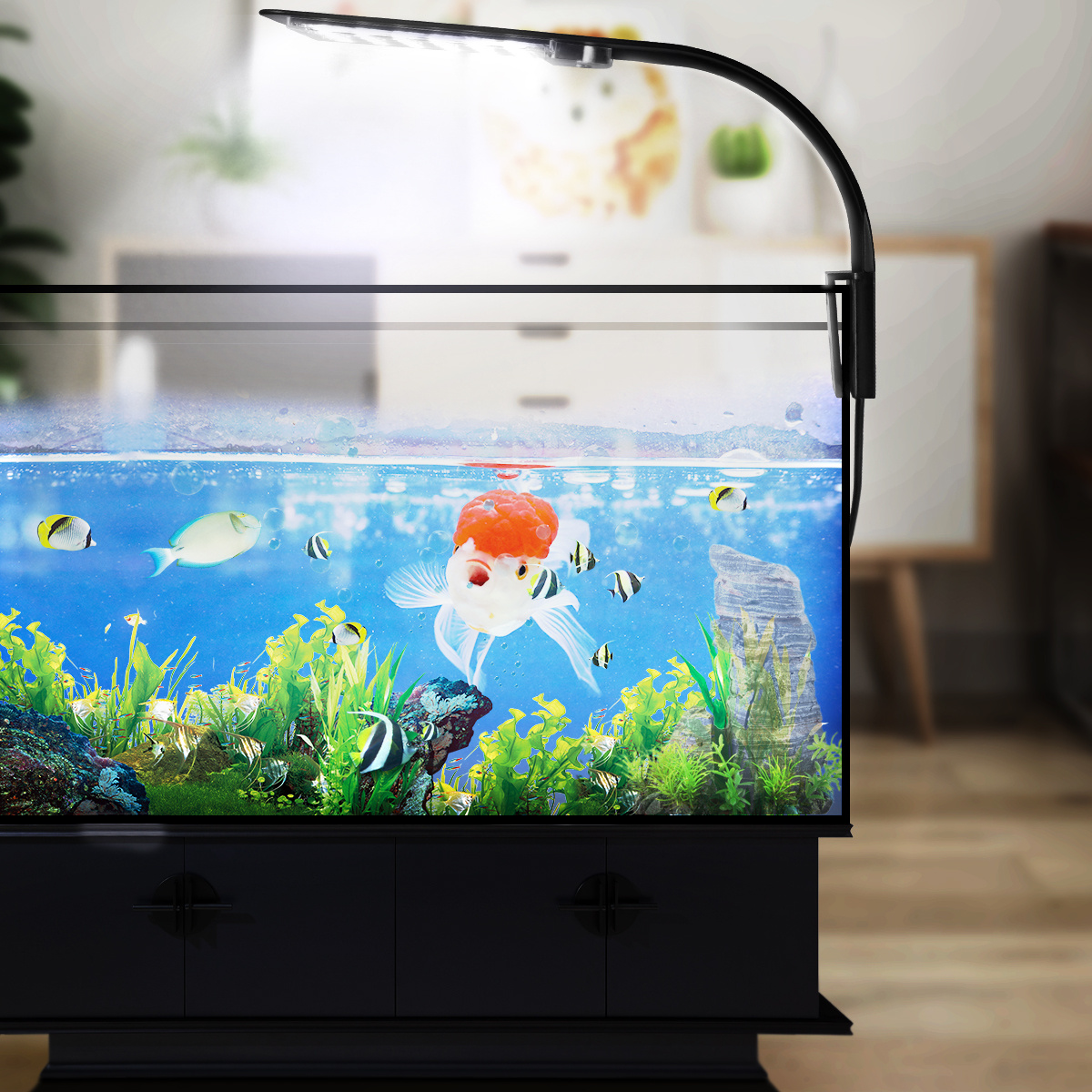 LED Aquarium Light for Plants  – обзор и цена Aquarium Fish With Long Lifespan