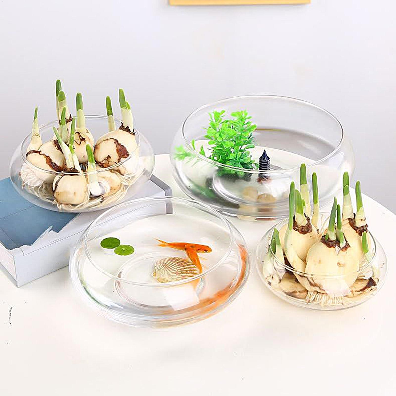 Fish Glass Bowl Glass Large Hy – обзор и цена Aquarium Fish Small