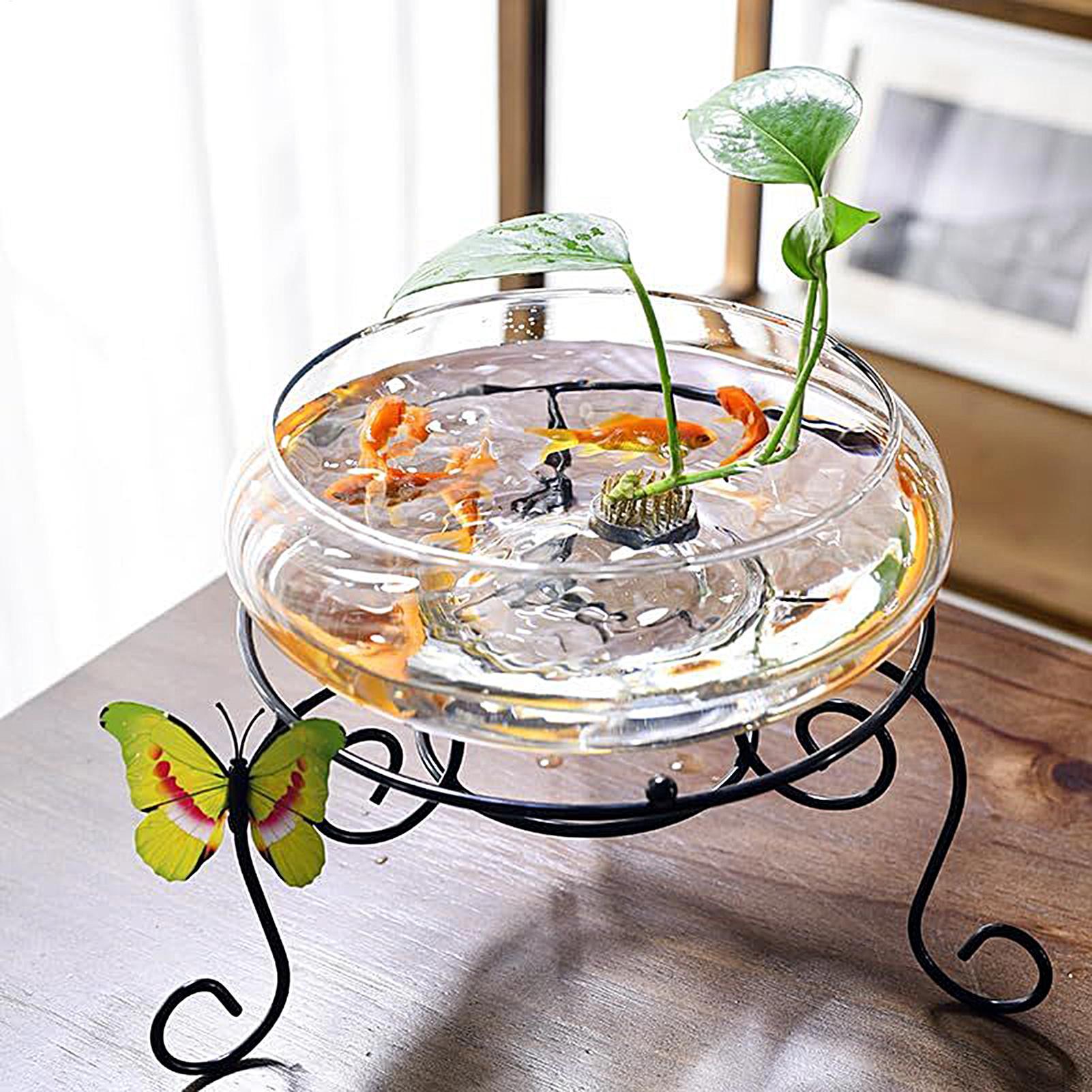 Fish Glass Bowl Glass Large Hy – обзор и цена Aquarium Fish Small