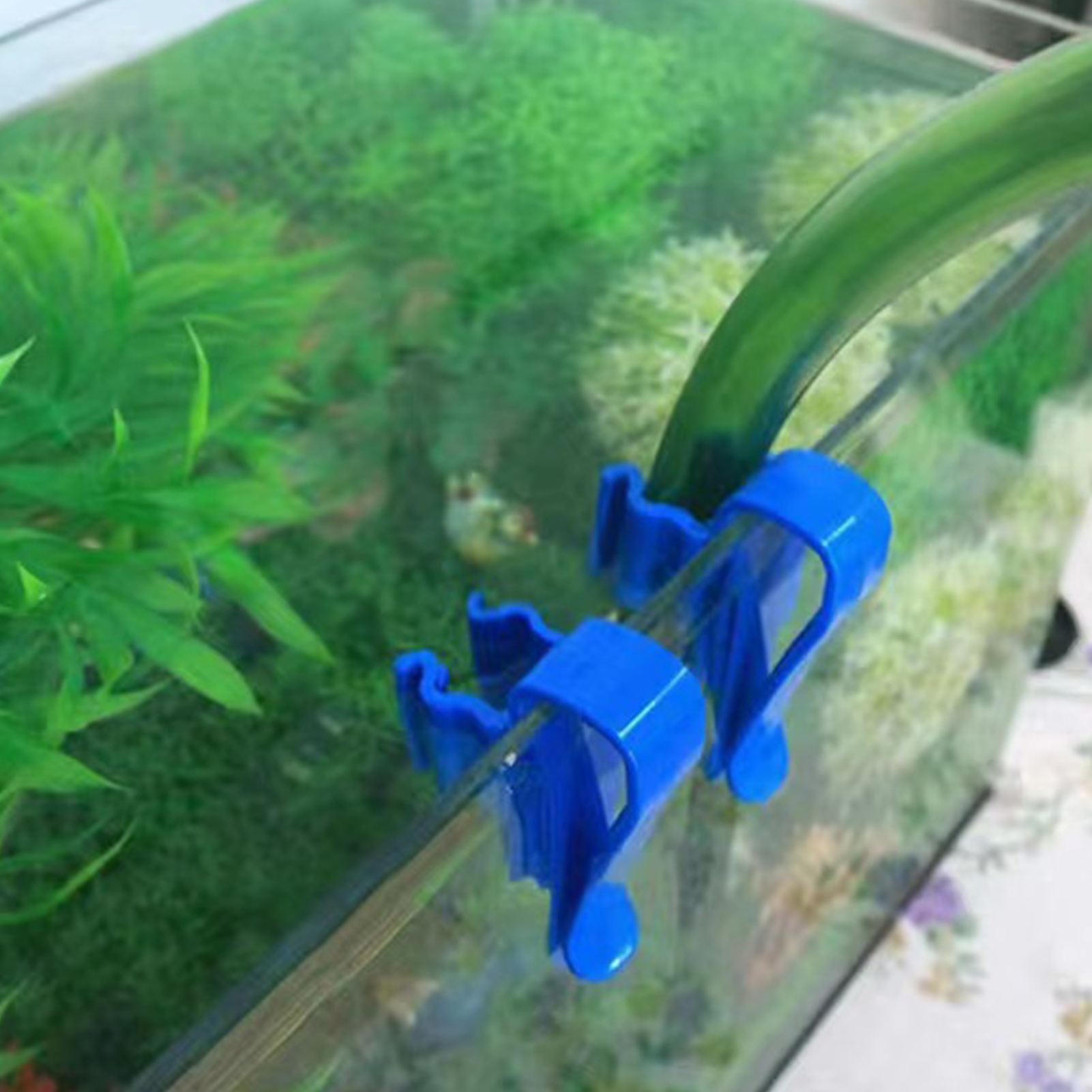 Aquarium Tube Holder Clip Fish – обзор и цена Aquarium Fish Youtube