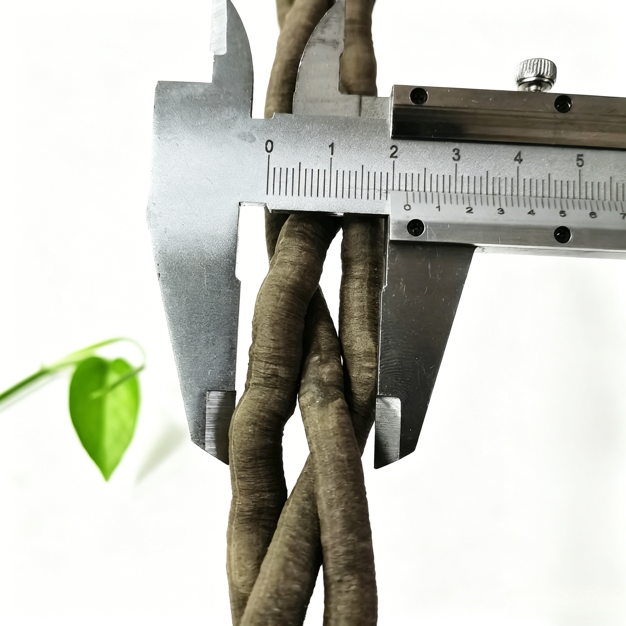 100cm Artificial Vine Fake Pla – обзор и цена Aquarium Fish Guppy