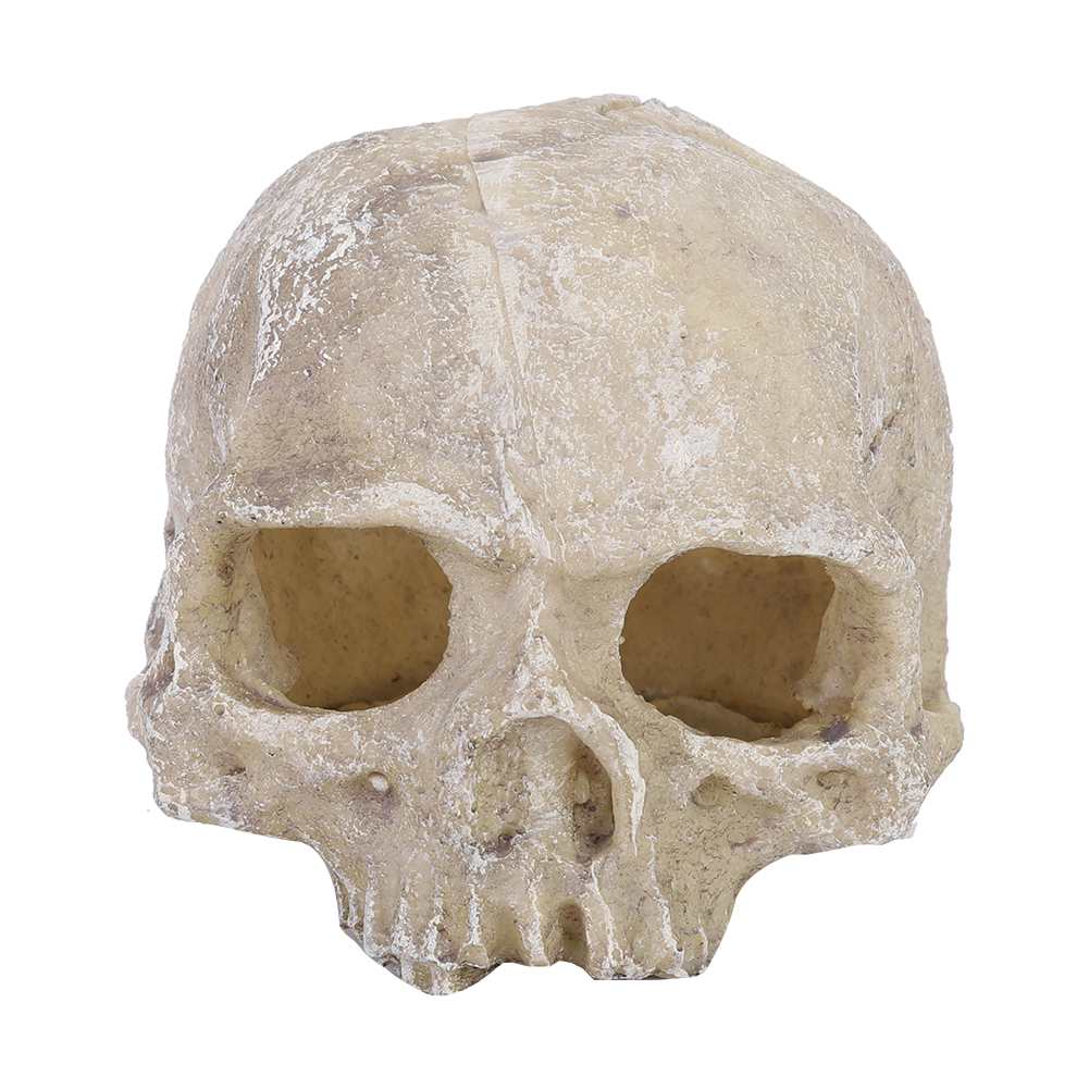 Resin Simulated Head Bone Skul – обзор и цена Aquarium Fish Guppy