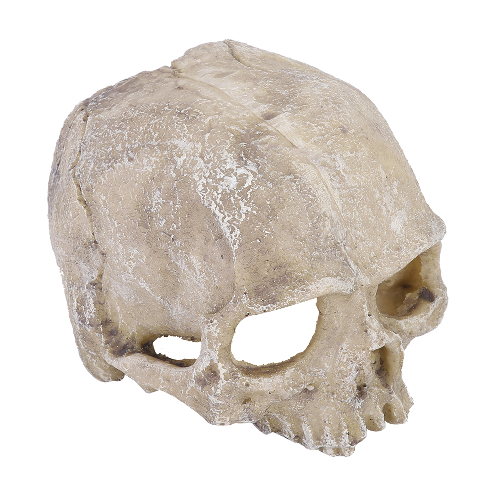 Resin Simulated Head Bone Skul – обзор и цена Aquarium Fish Guppy