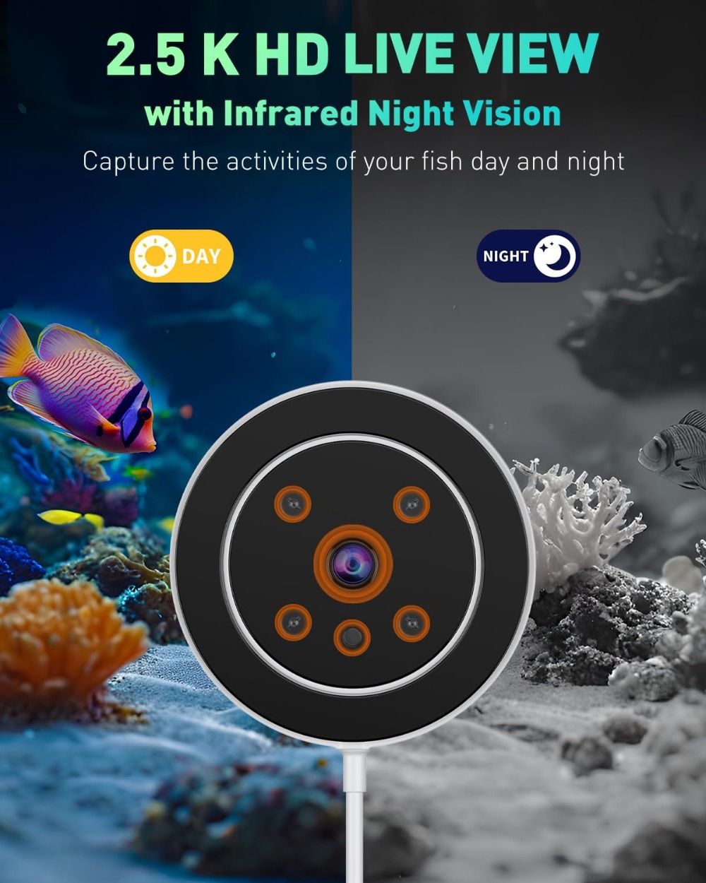 WiFi Automatic Fish Feeder for – обзор и цена Aquarium Fish Video