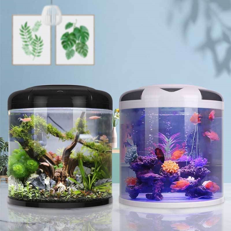 Fish tank living room Semicirc – обзор и цена Aquarium Fish Small