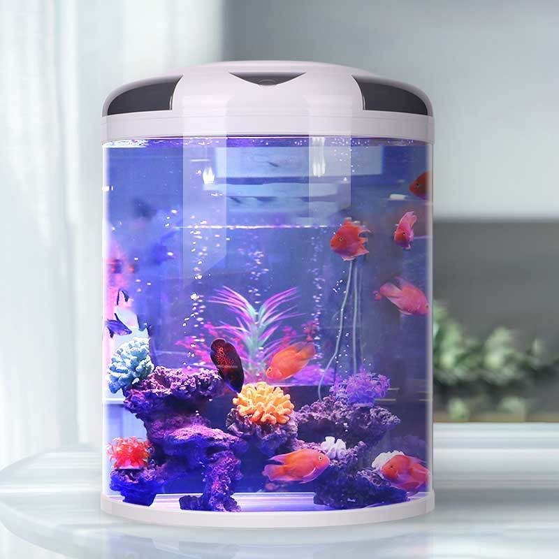 Fish tank living room Semicirc – обзор и цена Aquarium Fish Small