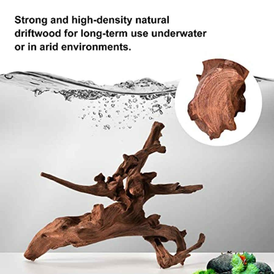 Natural Small Coral for Aquari – обзор и цена Aquarium Fish Small