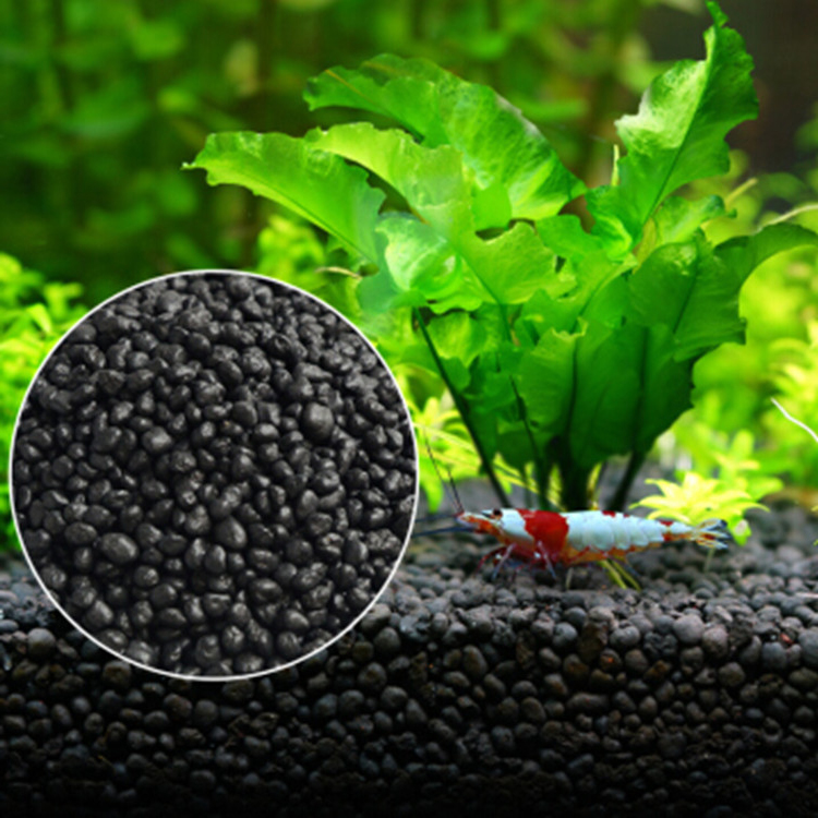 Aquarium Plant Seeds Soil Fish – обзор и цена Aquarium Fish Freshwater