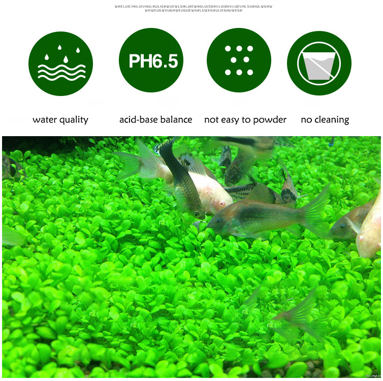 Aquarium Plant Seeds Soil Fish – обзор и цена Aquarium Fish Freshwater