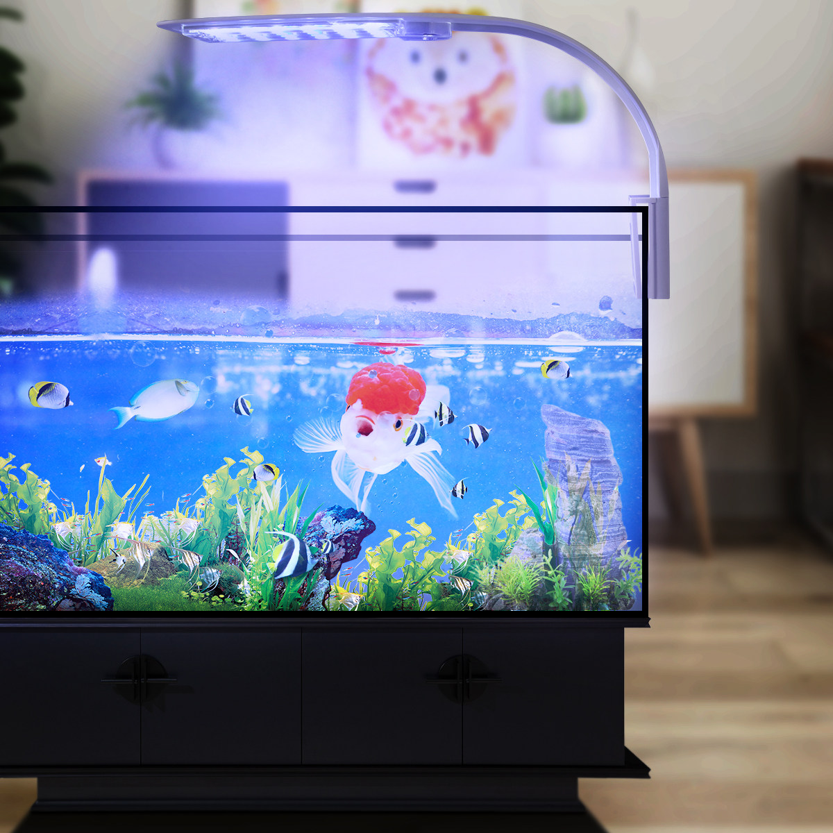 Ultra Thin LED Aquarium Light  – обзор и цена Aquarium Fish With Long Lifespan
